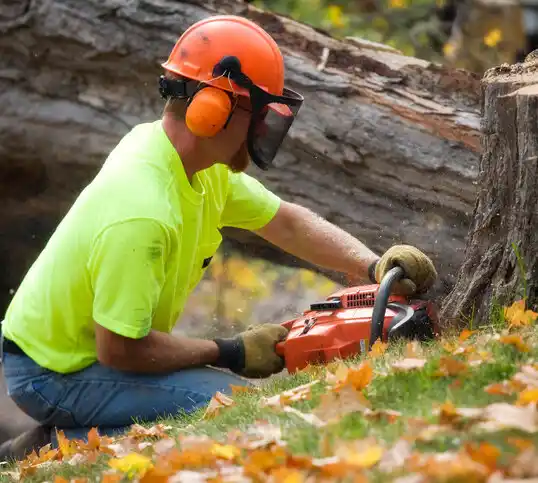 tree services Mulberry